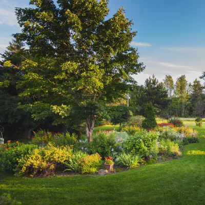 Landscaping