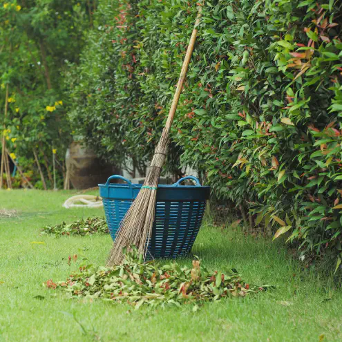 Yard Clean Up